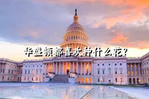 华盛顿都喜欢种什么花？