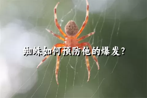 蜘蛛如何预防他的爆发？