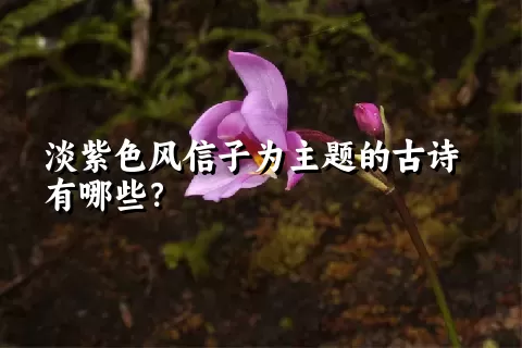 淡紫色风信子为主题的古诗有哪些？