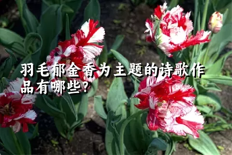 羽毛郁金香为主题的诗歌作品有哪些？