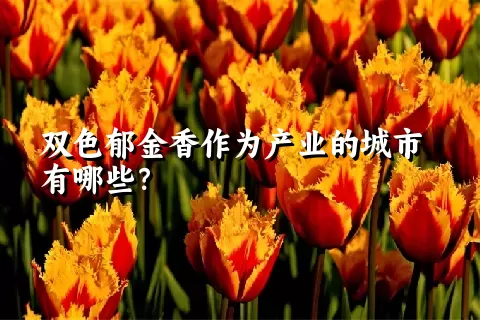 双色郁金香作为产业的城市有哪些？