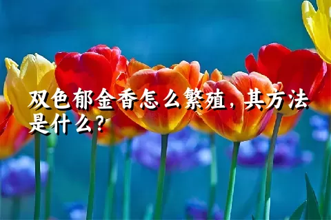 双色郁金香怎么繁殖，其方法是什么？