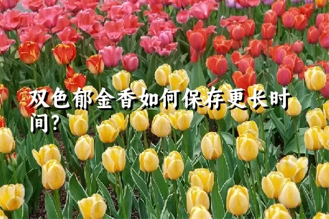 双色郁金香如何保存更长时间？