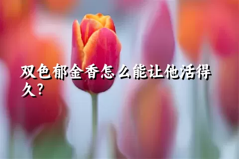 双色郁金香怎么能让他活得久？