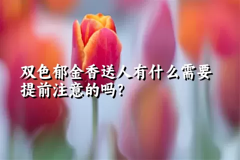 双色郁金香送人有什么需要提前注意的吗？