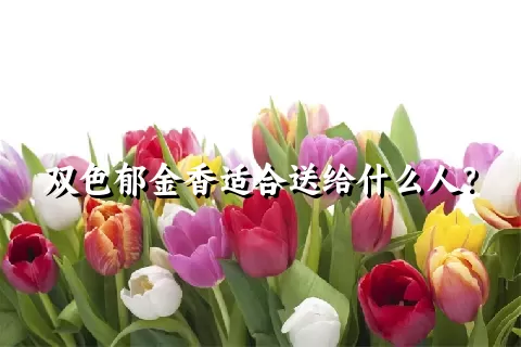 双色郁金香适合送给什么人？