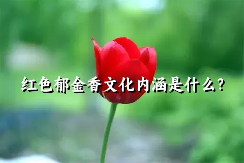 红色郁金香文化内涵是什么？