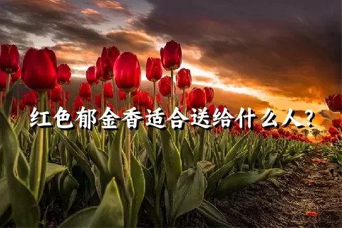 红色郁金香适合送给什么人？