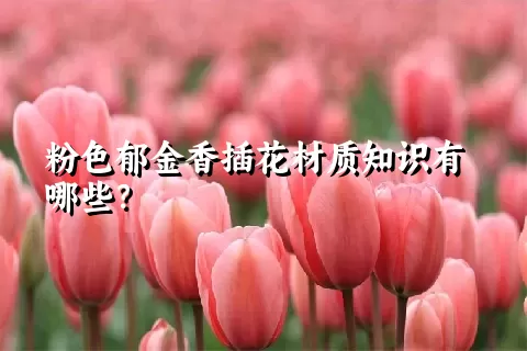 粉色郁金香插花材质知识有哪些？