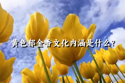 黄色郁金香文化内涵是什么？