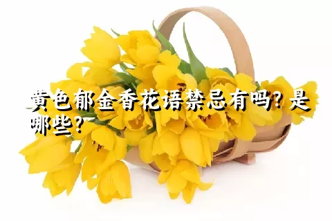 黄色郁金香花语禁忌有吗？是哪些？