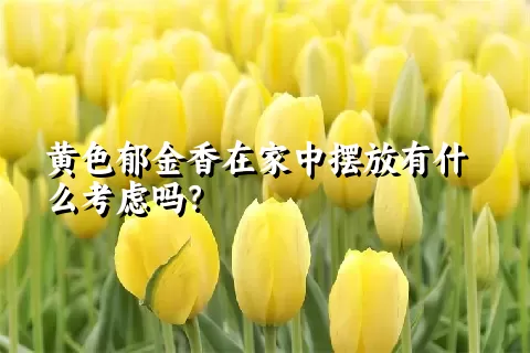 黄色郁金香在家中摆放有什么考虑吗？
