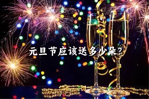 元旦节应该送多少朵？