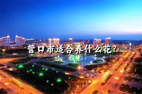 营口市适合养什么花？