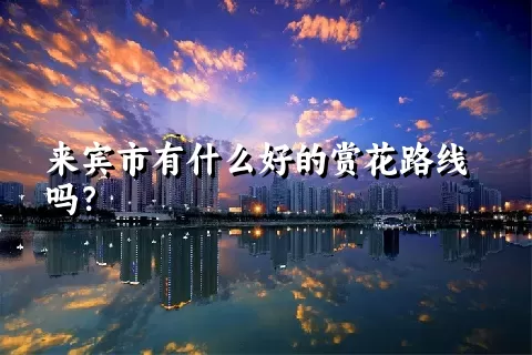 来宾市有什么好的赏花路线吗？