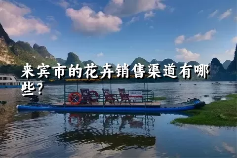 来宾市的花卉销售渠道有哪些？
