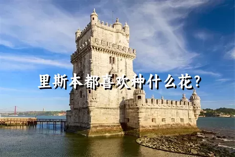 里斯本都喜欢种什么花？