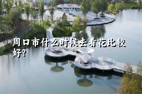 周口市什么时候去看花比较好？