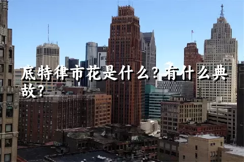 底特律市花是什么？有什么典故？