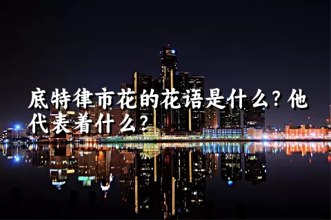 底特律市花的花语是什么？他代表着什么？