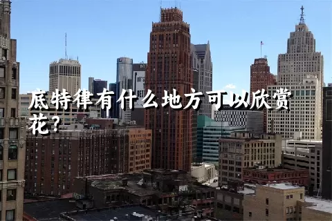 底特律有什么地方可以欣赏花？