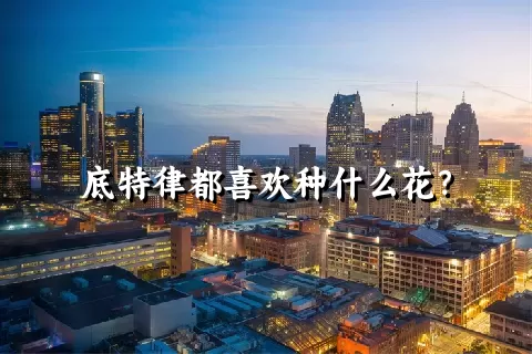 底特律都喜欢种什么花？