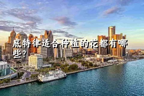 底特律适合种植的花都有哪些？