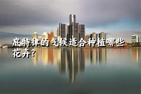 底特律的气候适合种植哪些花卉？