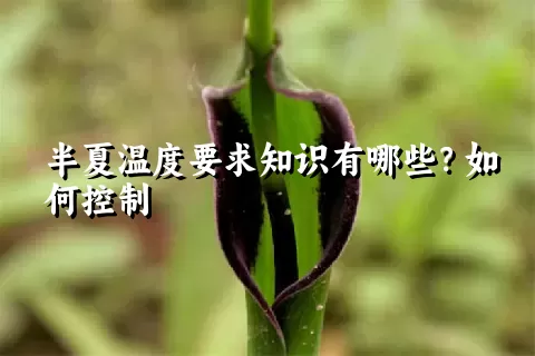 半夏温度要求知识有哪些？如何控制