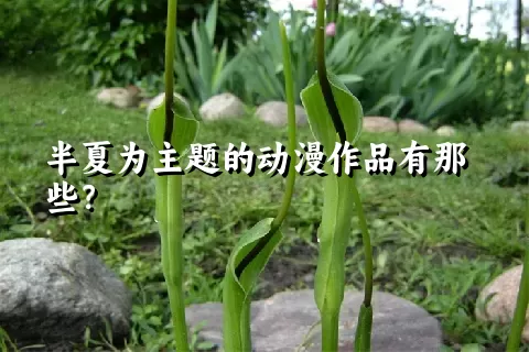 半夏为主题的动漫作品有那些？