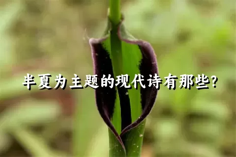 半夏为主题的现代诗有那些？