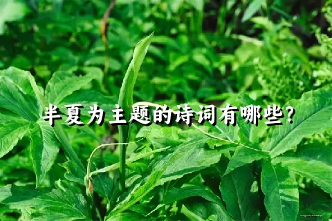 半夏为主题的诗词有哪些？