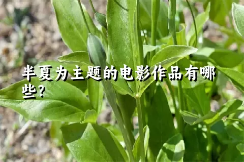 半夏为主题的电影作品有哪些？