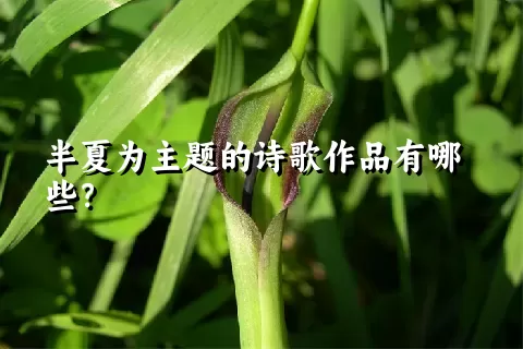 半夏为主题的诗歌作品有哪些？
