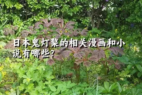 日本鬼灯檠的相关漫画和小说有哪些？