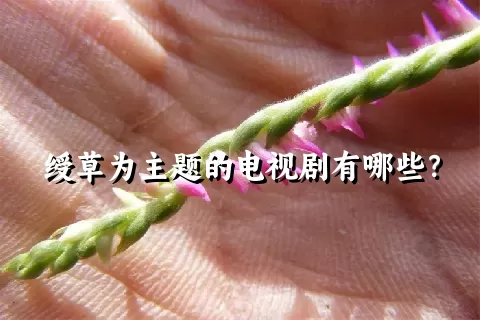 绶草为主题的电视剧有哪些？