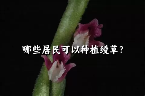哪些居民可以种植绶草？