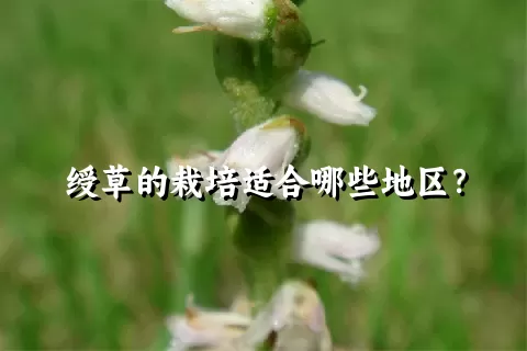 绶草的栽培适合哪些地区？