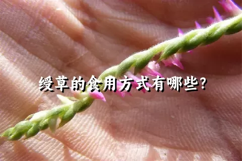 绶草的食用方式有哪些？