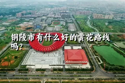 铜陵市有什么好的赏花路线吗？