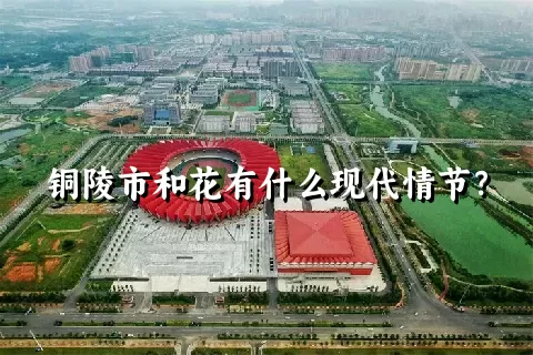 铜陵市和花有什么现代情节？