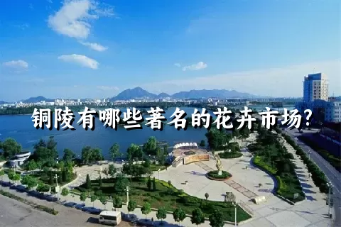 铜陵有哪些著名的花卉市场?