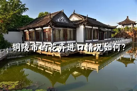 铜陵市的花卉进口情况如何？
