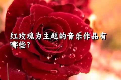 红玫瑰为主题的音乐作品有哪些？