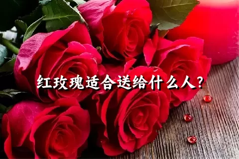红玫瑰适合送给什么人？