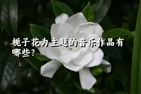 栀子花为主题的音乐作品有哪些？