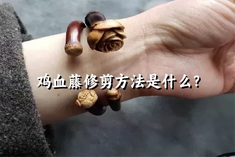 鸡血藤修剪方法是什么？
