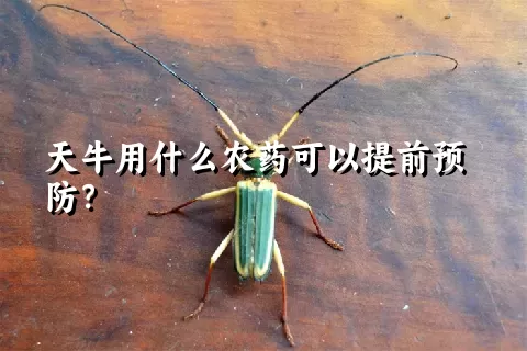 天牛用什么农药可以提前预防？