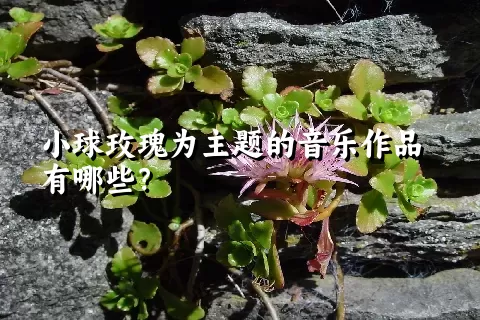 小球玫瑰为主题的音乐作品有哪些？
