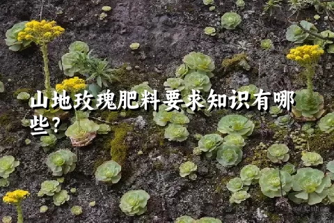 山地玫瑰肥料要求知识有哪些？